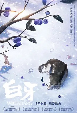 久久毛片免费看一区二区三区